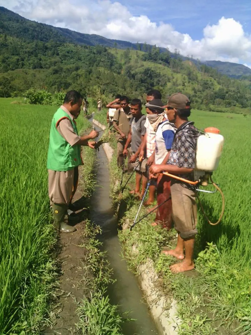 Balai Penyuluhan Pertanian Maos: Solusi Terpercaya untuk Pertanian dan KB di Cilacap