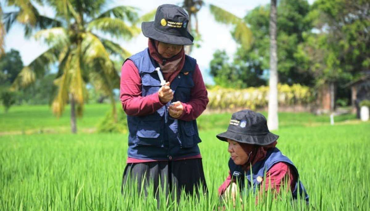 Pengadaan Barang Jasa 2026: Rahasia PBJ yang Dijemput ke OPD